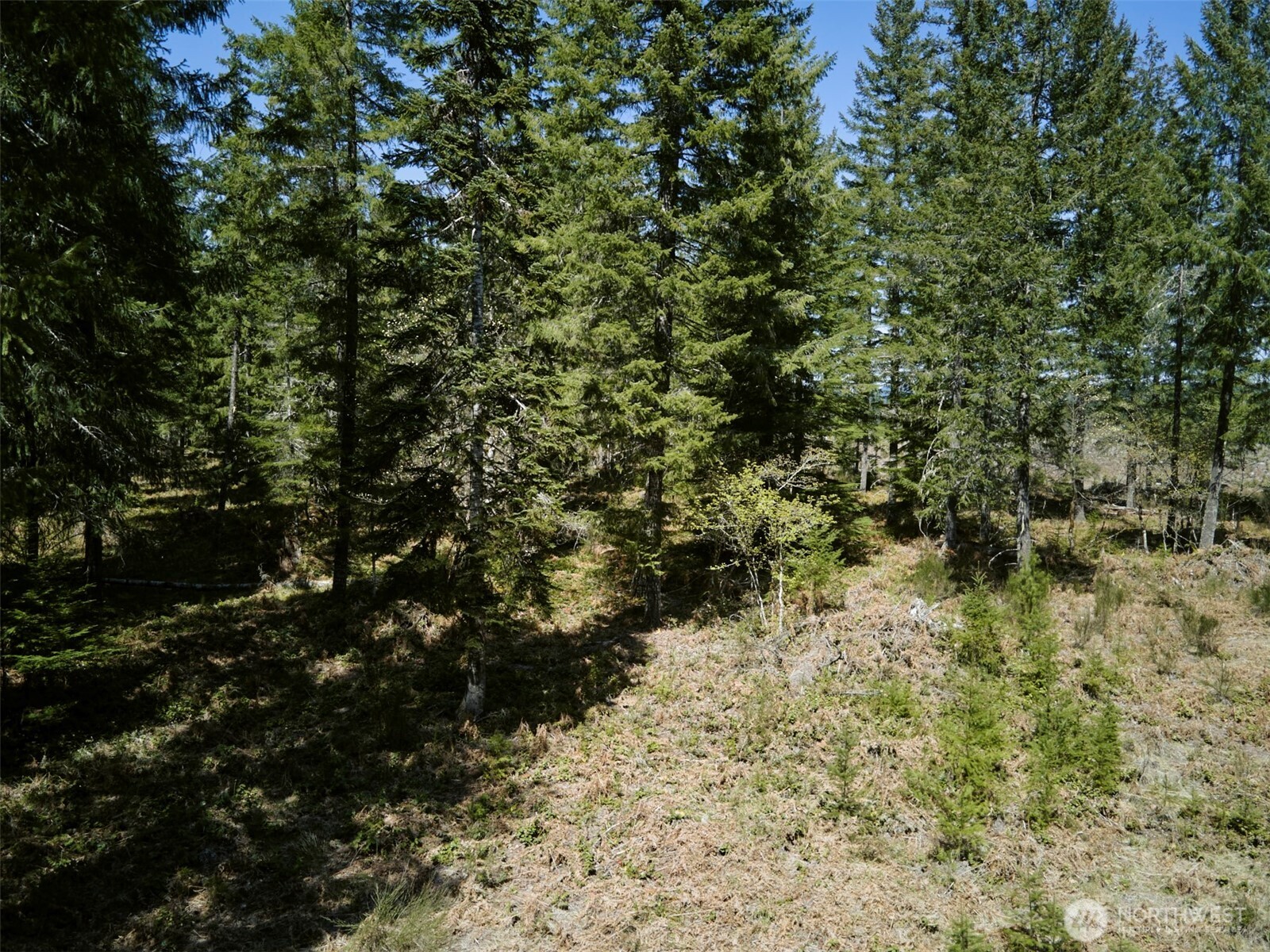 2 Loowit Lane Cougar WA 98616