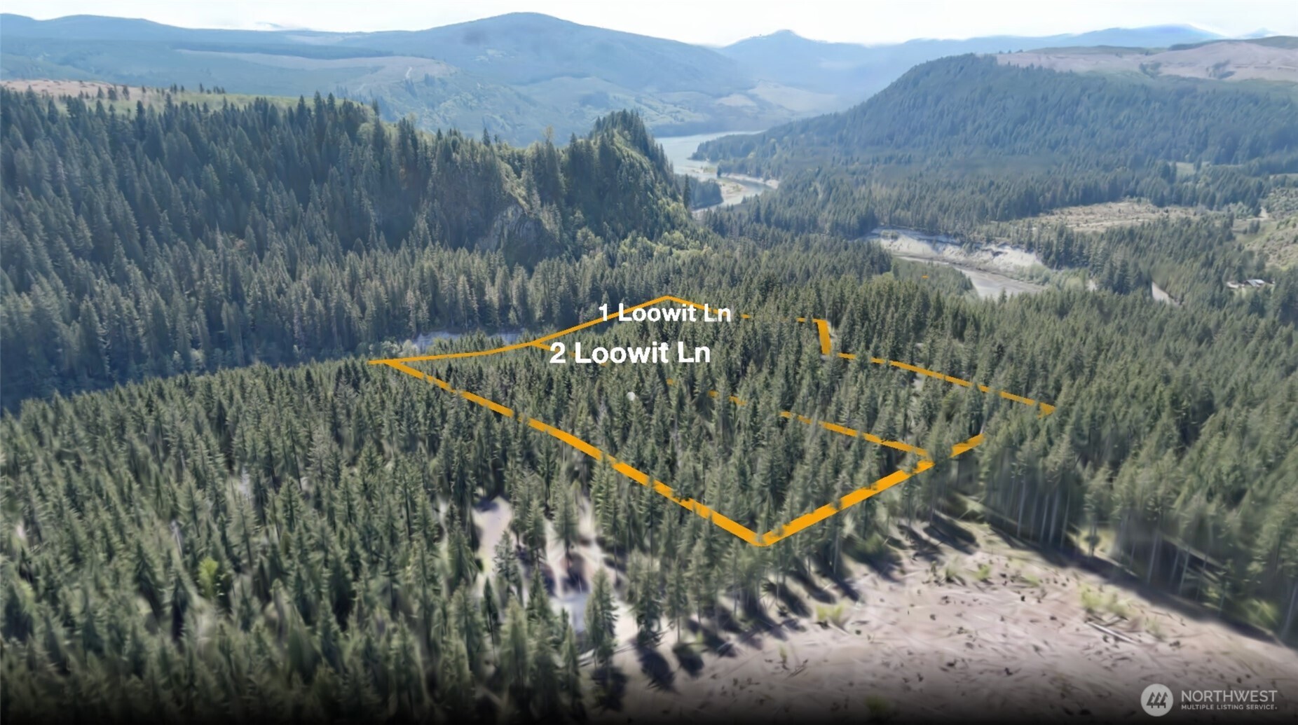 2 Loowit Lane Cougar WA 98616