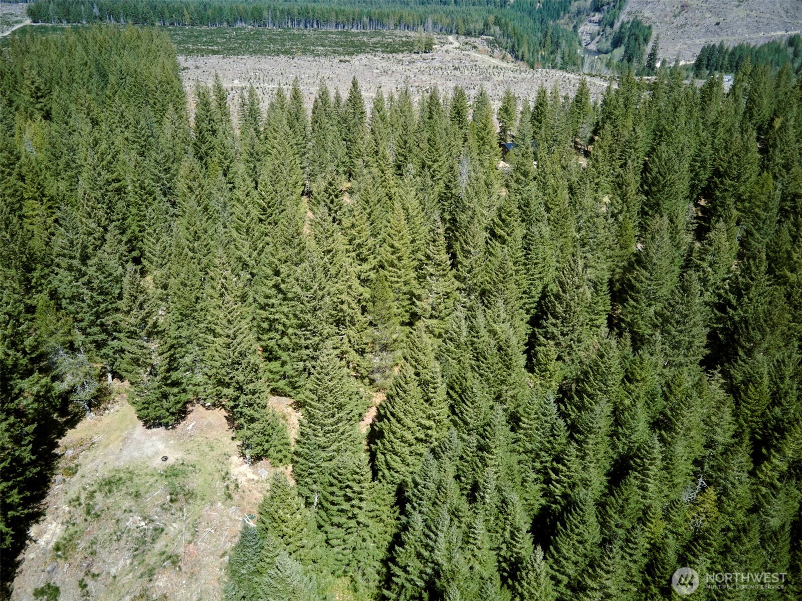 2 Loowit Lane Cougar WA 98616