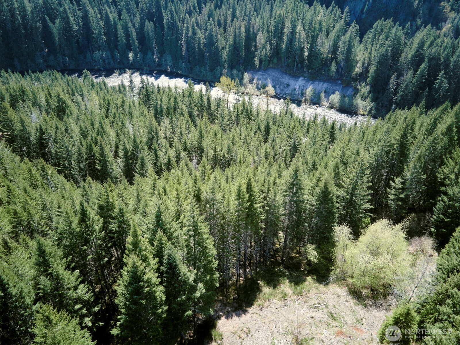 2 Loowit Lane Cougar WA 98616