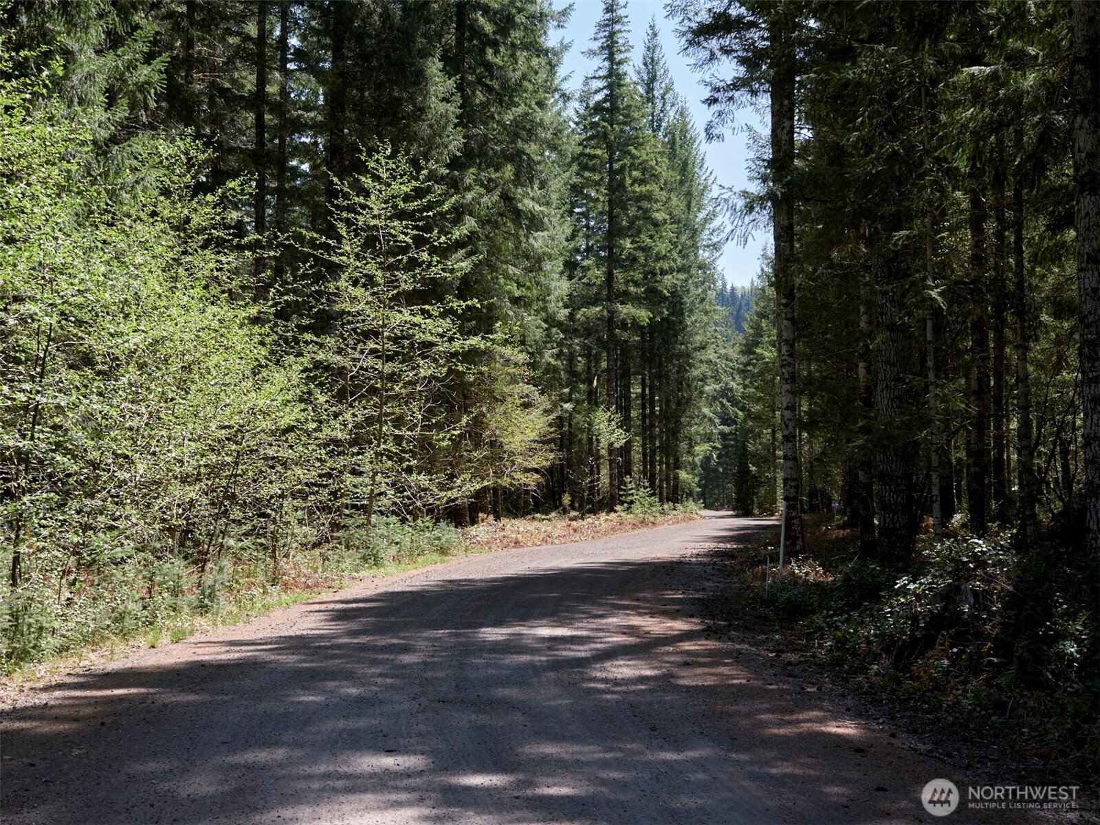 2 Loowit Lane Cougar WA 98616