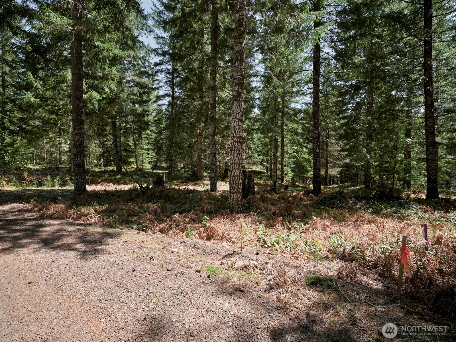 2 Loowit Lane Cougar WA 98616