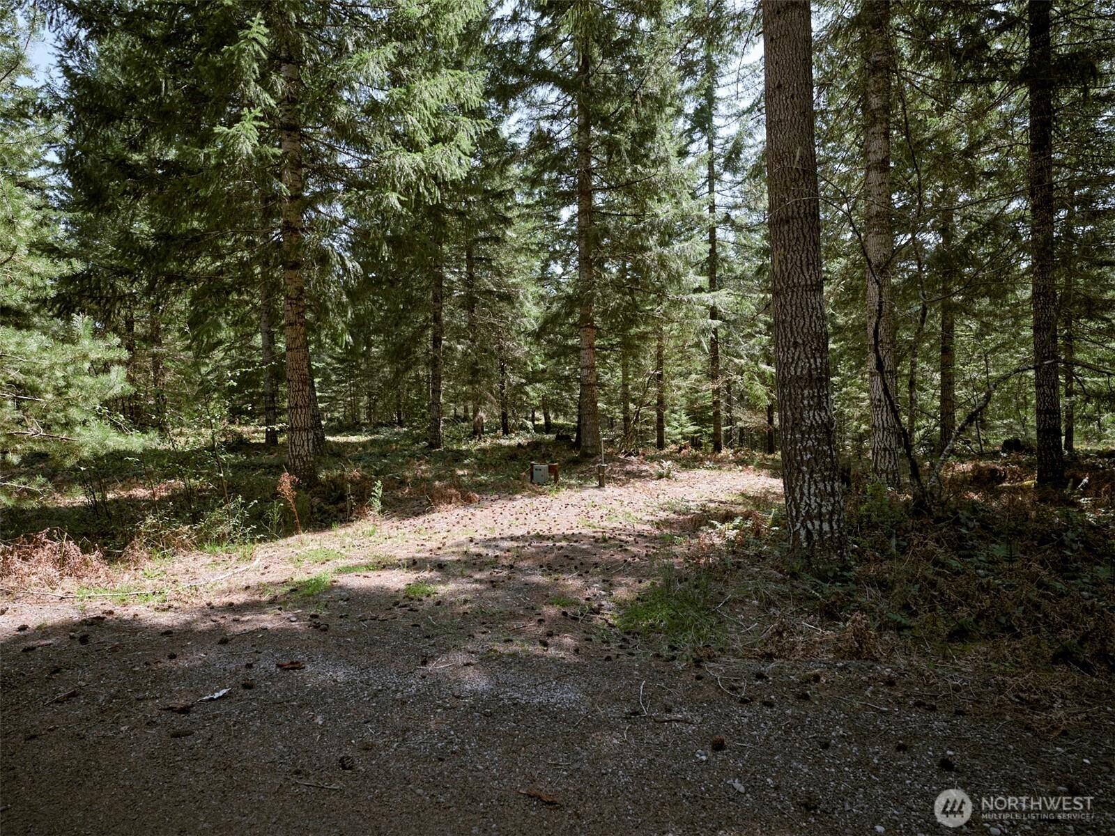 2 Loowit Lane Cougar WA 98616