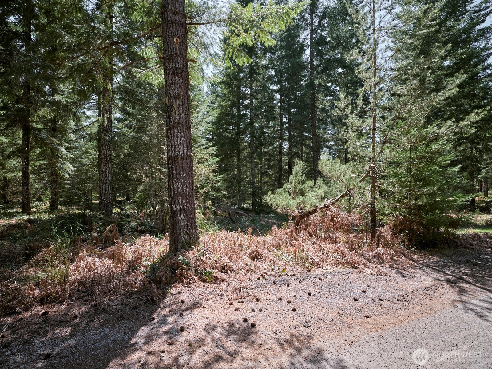 2 Loowit Lane Cougar WA 98616