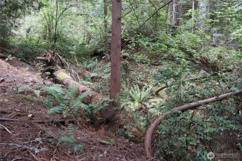 3659 Green Mountain Road NW Bremerton WA 98312
