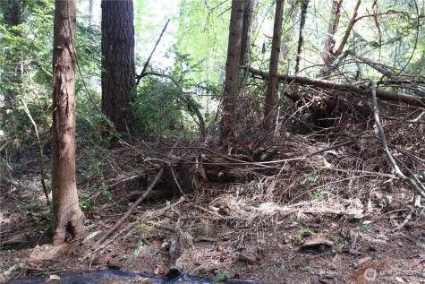 3659 Green Mountain Road NW Bremerton WA 98312