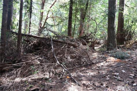 3659 Green Mountain Road NW Bremerton WA 98312