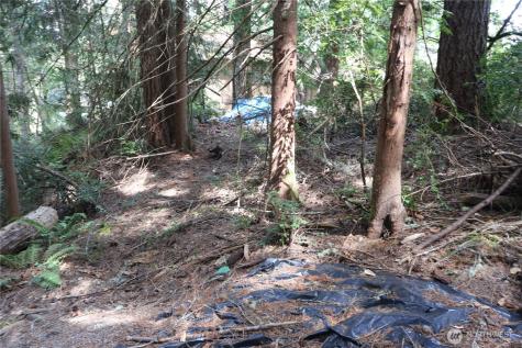 3659 Green Mountain Road NW Bremerton WA 98312