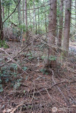 3659 Green Mountain Road NW Bremerton WA 98312