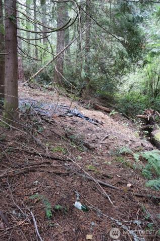 3659 Green Mountain Road NW Bremerton WA 98312