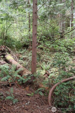 3659 Green Mountain Road NW Bremerton WA 98312