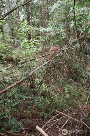 3659 Green Mountain Road NW Bremerton WA 98312