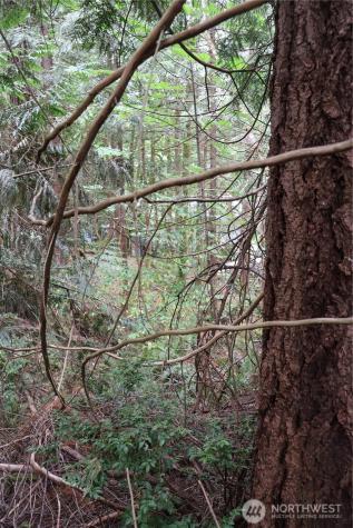 3659 Green Mountain Road NW Bremerton WA 98312