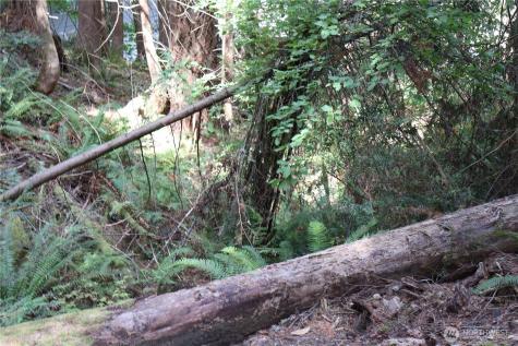 3659 Green Mountain Road NW Bremerton WA 98312