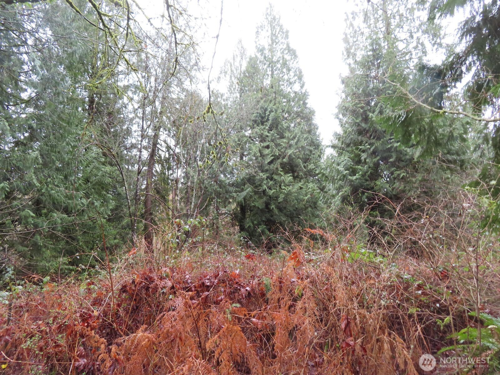 235 Anchor Road Castle Rock WA 98611
