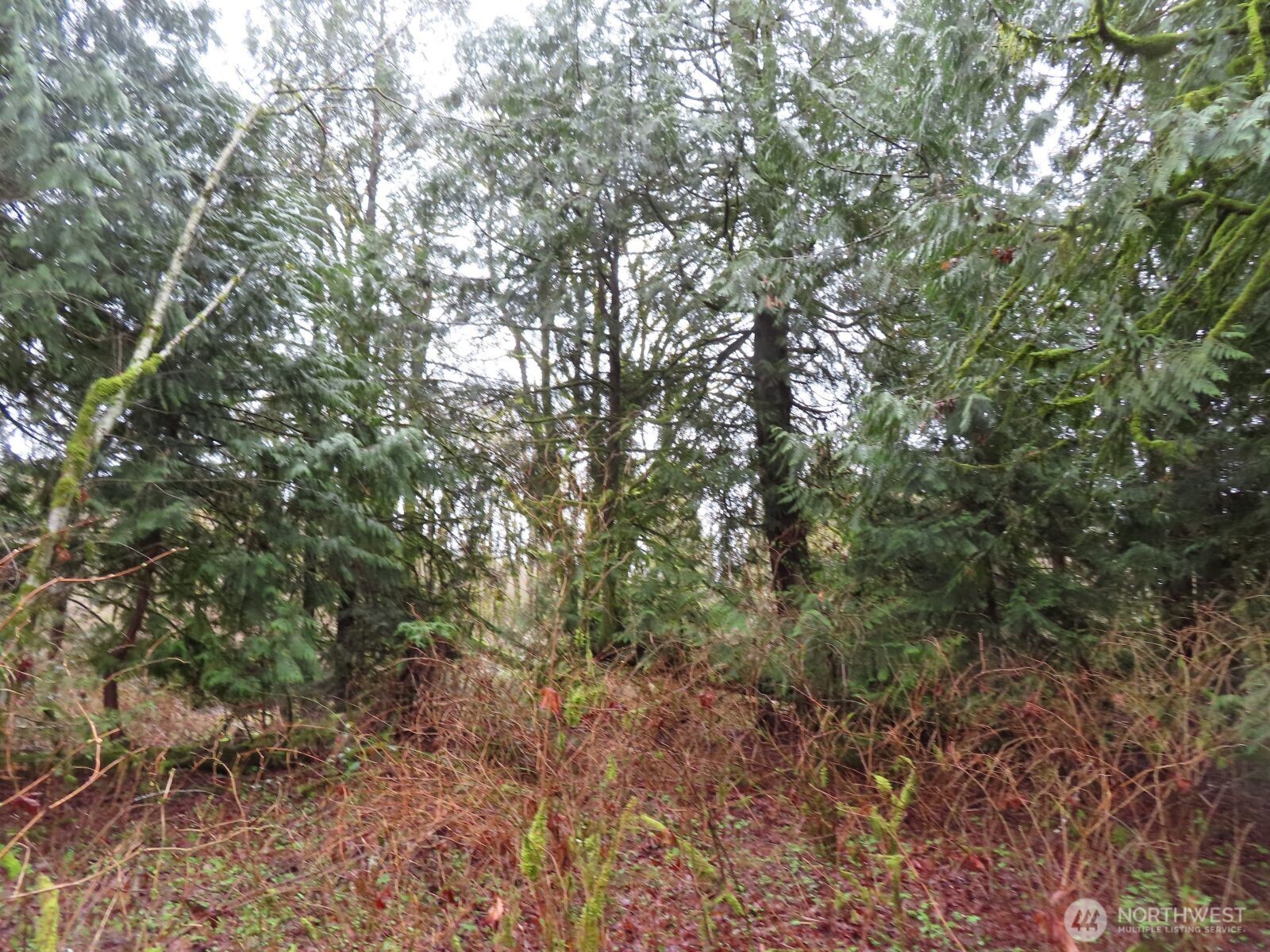 235 Anchor Road Castle Rock WA 98611