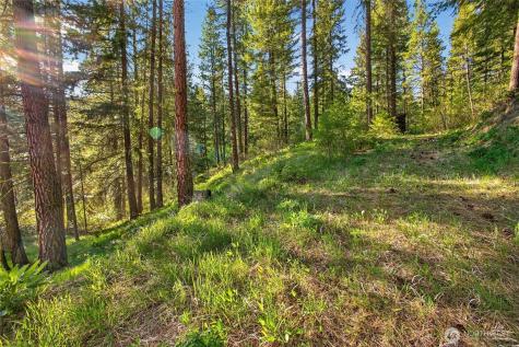 15906 River Road Leavenworth WA 98826