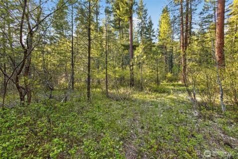15906 River Road Leavenworth WA 98826