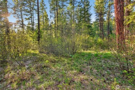 15906 River Road Leavenworth WA 98826