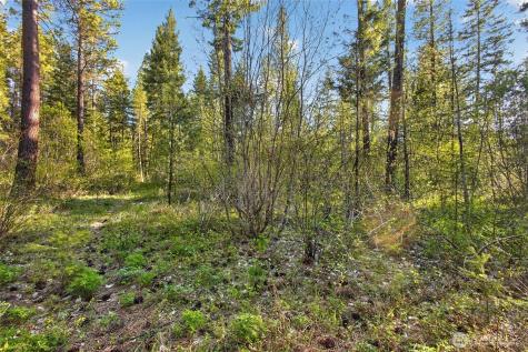 15906 River Road Leavenworth WA 98826