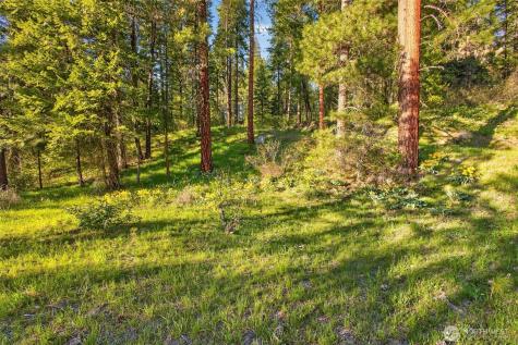 15906 River Road Leavenworth WA 98826