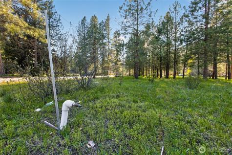 15906 River Road Leavenworth WA 98826