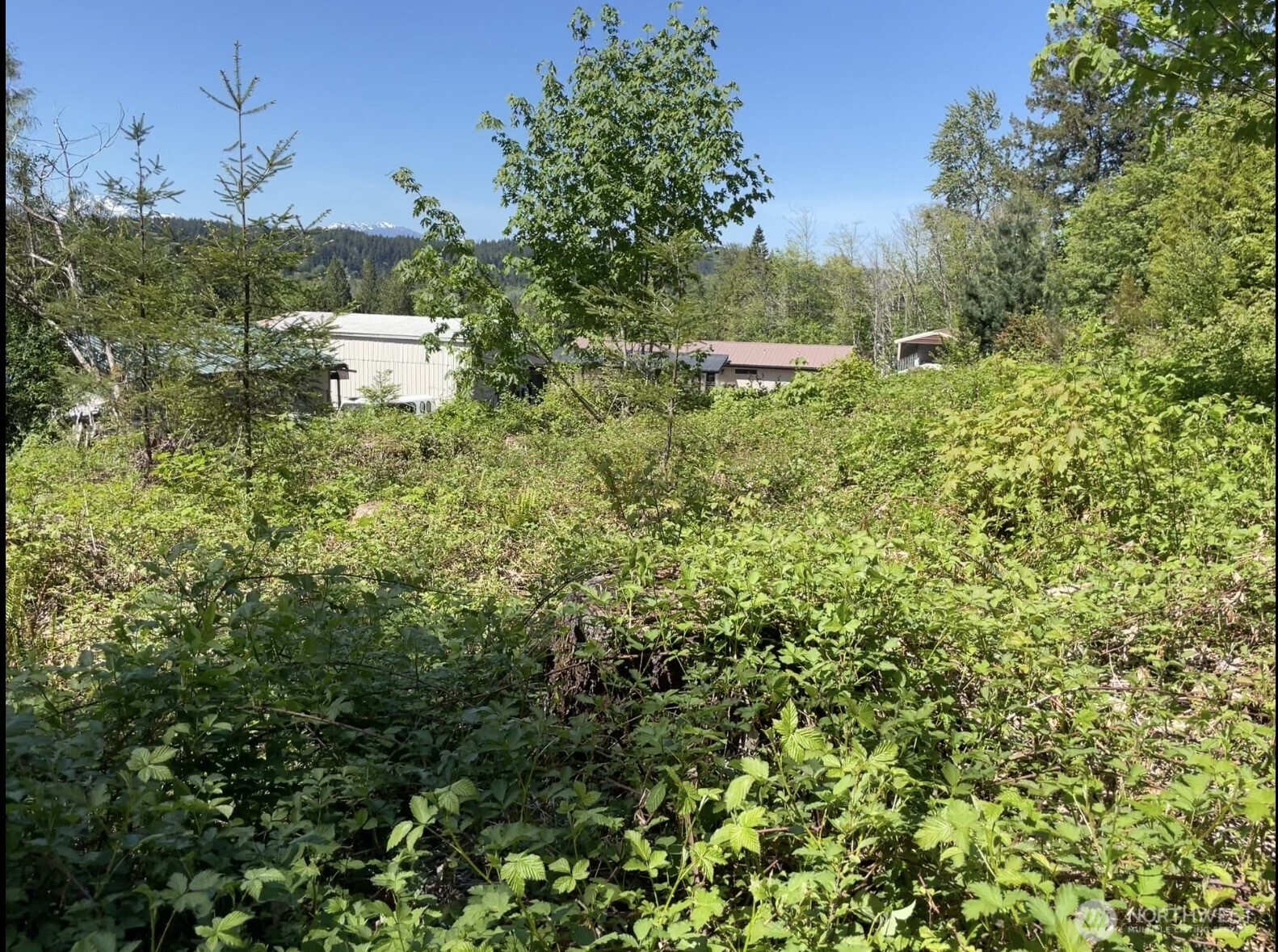 0 State Route 3 Belfair WA 98528