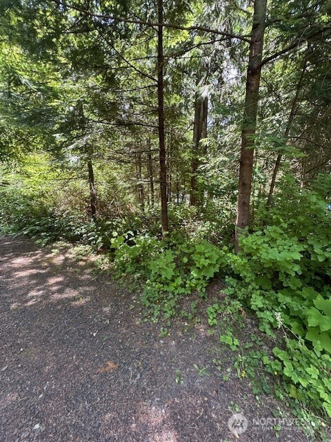 0 SE Somers Drive Shelton WA 98584