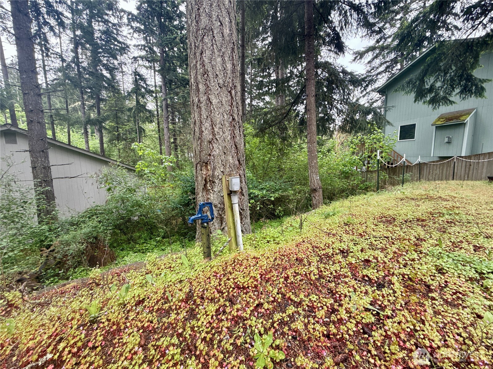 22441 Clearview Court SE Yelm WA 98597