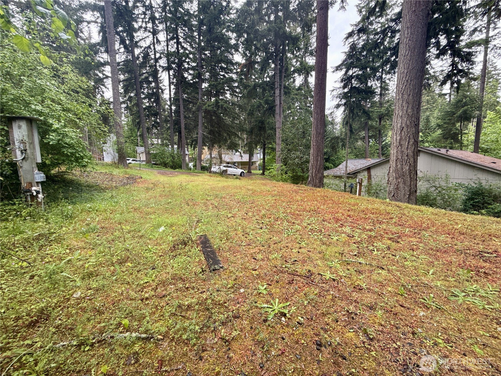 22441 Clearview Court SE Yelm WA 98597