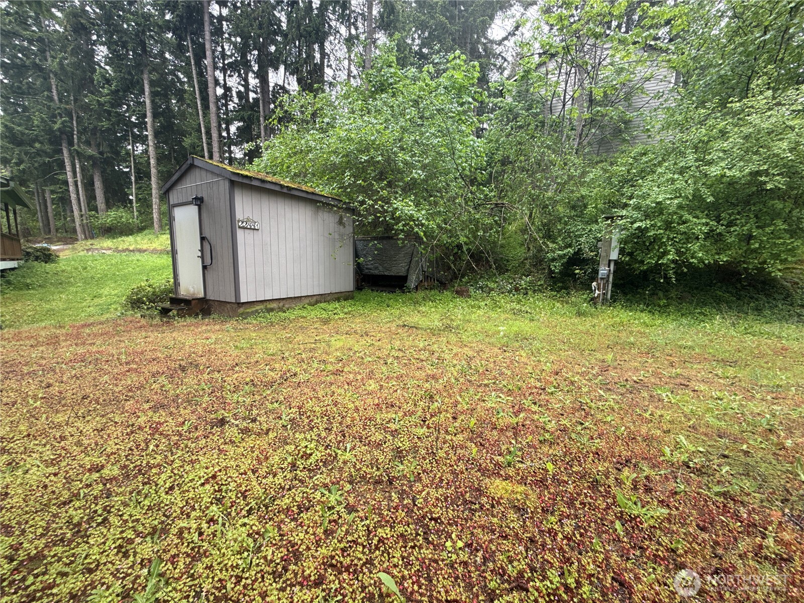 22441 Clearview Court SE Yelm WA 98597