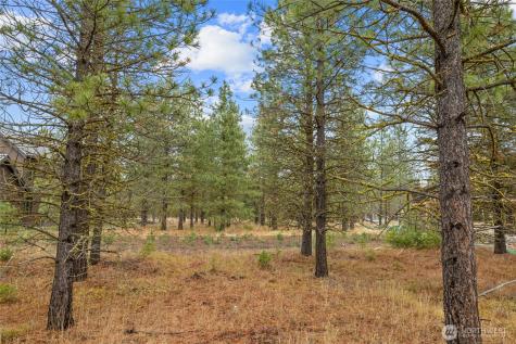 351 Southern Star Lane Cle Elum WA 98922