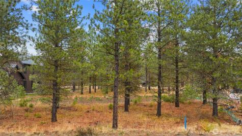 351 Southern Star Lane Cle Elum WA 98922