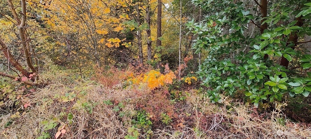 0 Military Federal Way WA 98003