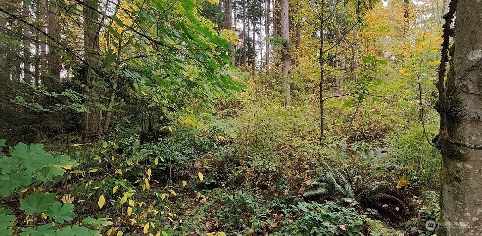 0 Military Federal Way WA 98003