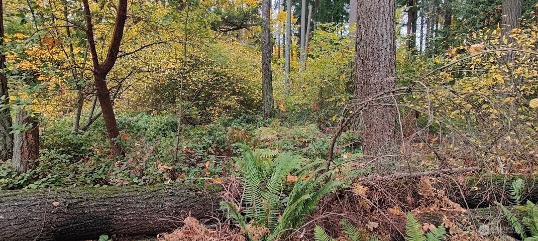 0 Military Federal Way WA 98003