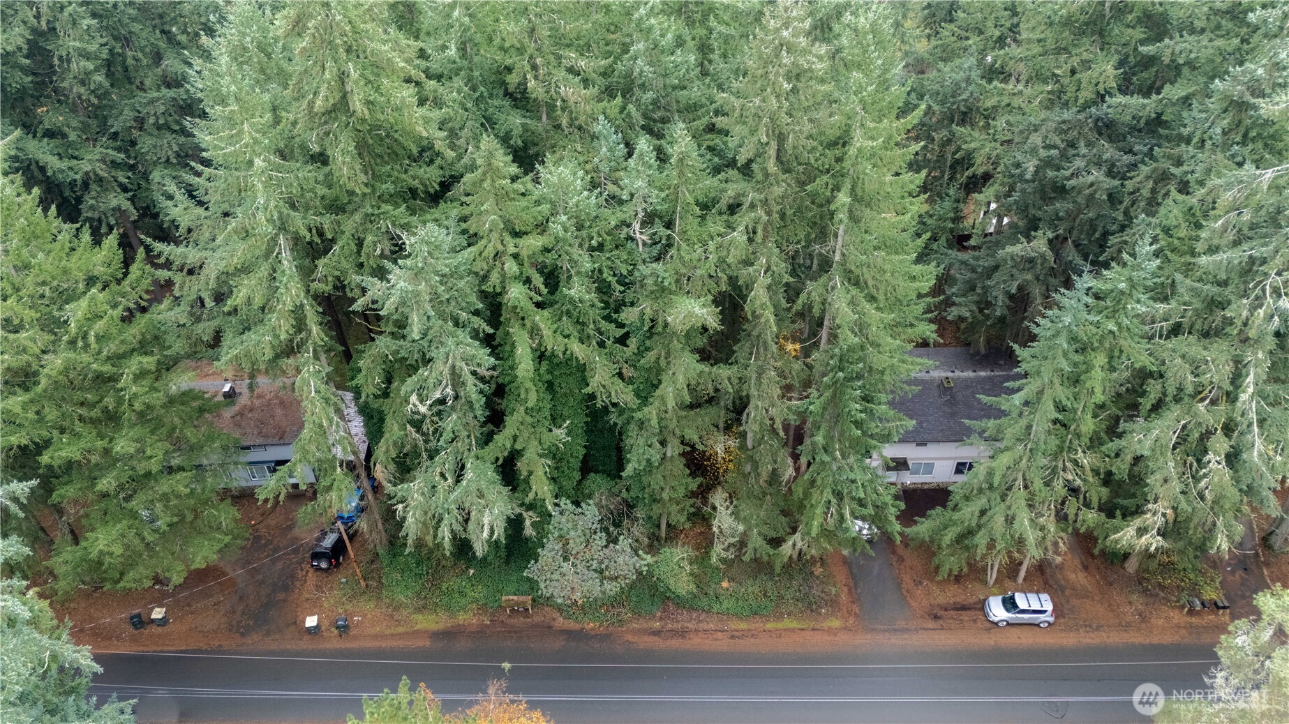 6943 20th Avenue E Lacey WA 98503