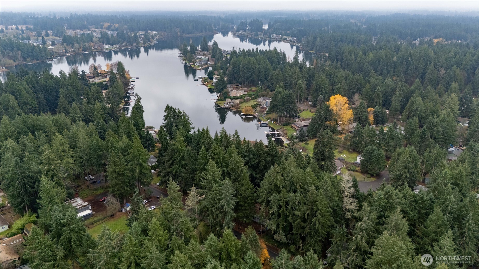 6943 20th Avenue E Lacey WA 98503