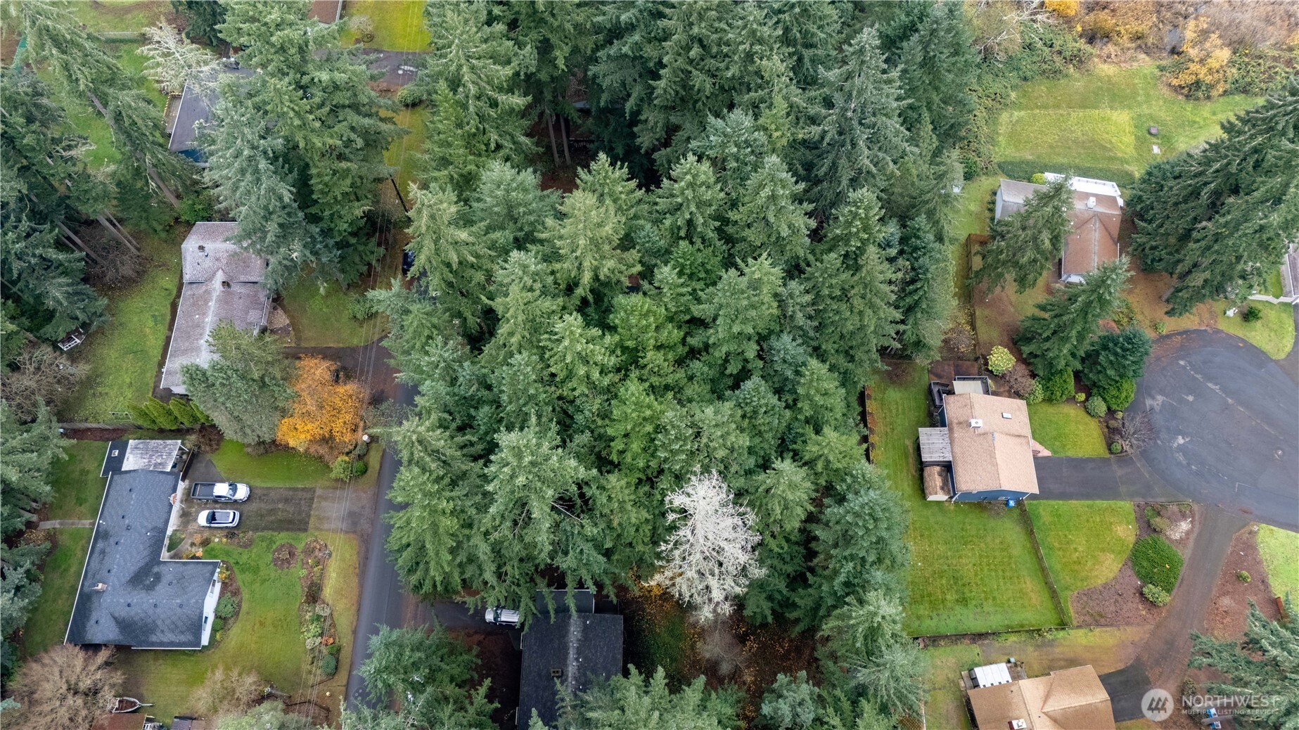 6943 20th Avenue E Lacey WA 98503