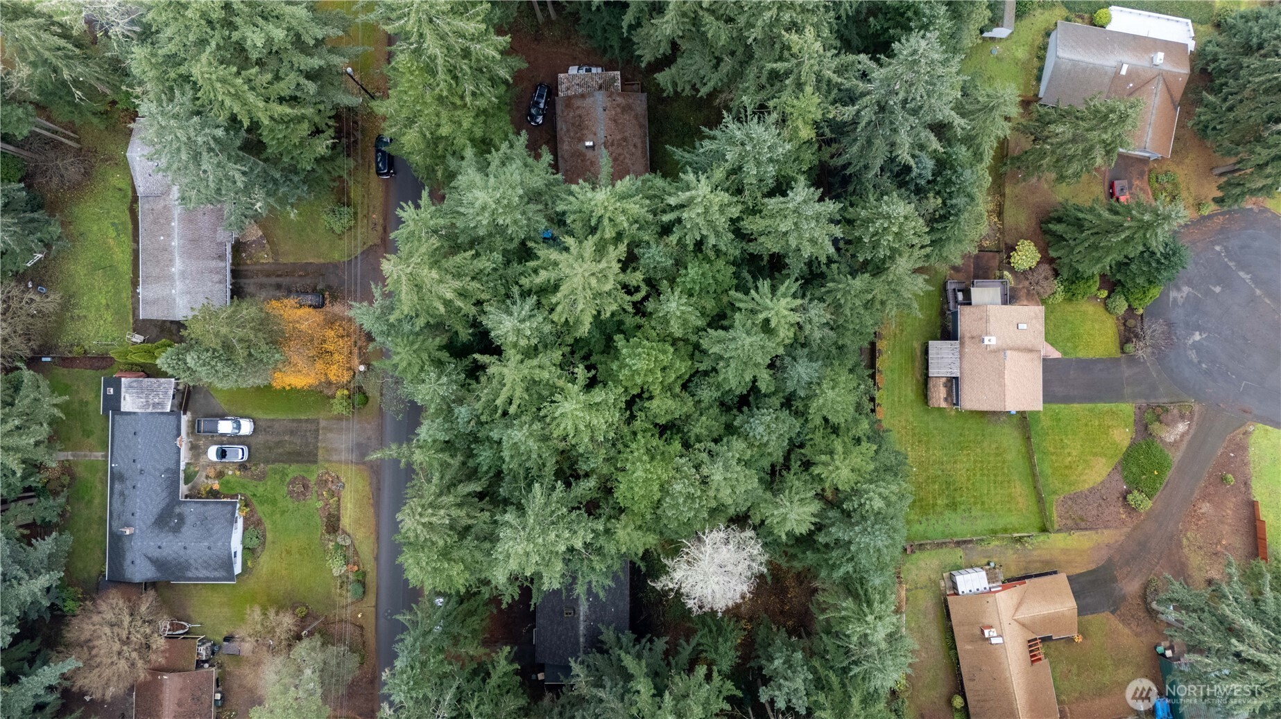 6943 20th Avenue E Lacey WA 98503