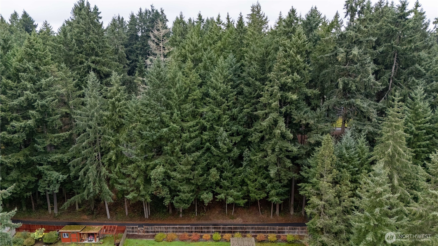 6943 20th Avenue E Lacey WA 98503