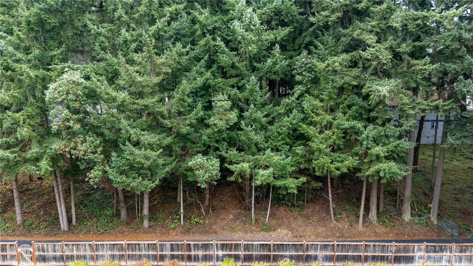 6943 20th Avenue E Lacey WA 98503