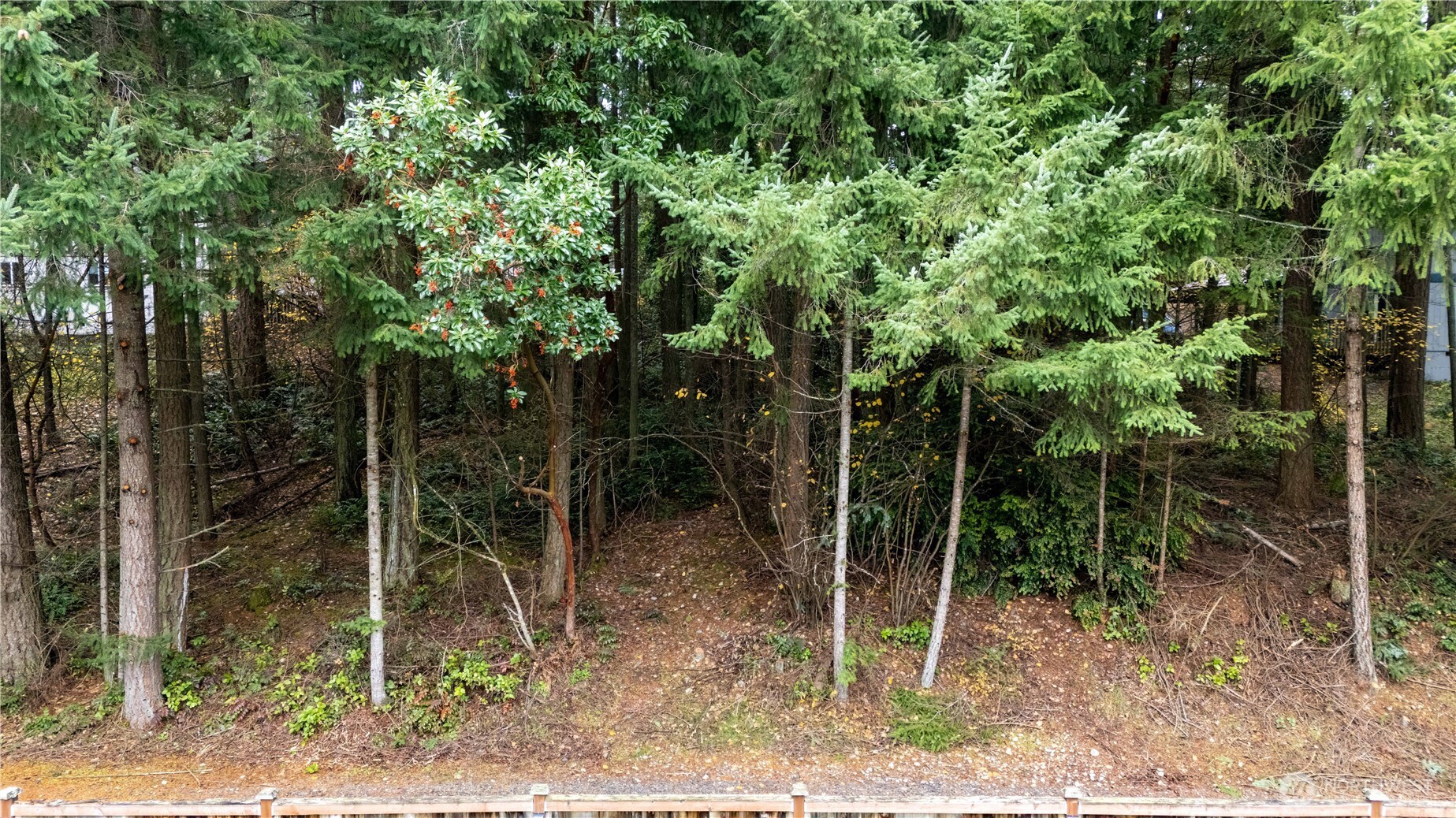 6943 20th Avenue E Lacey WA 98503