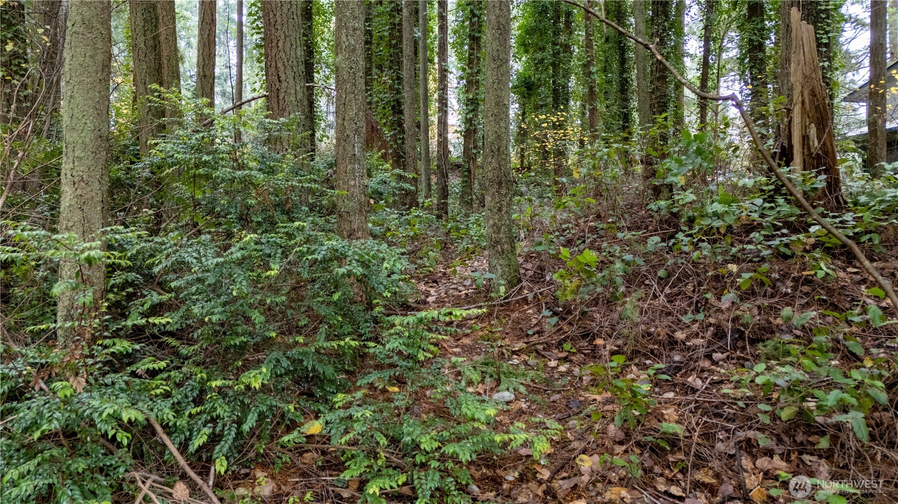 6943 20th Avenue E Lacey WA 98503