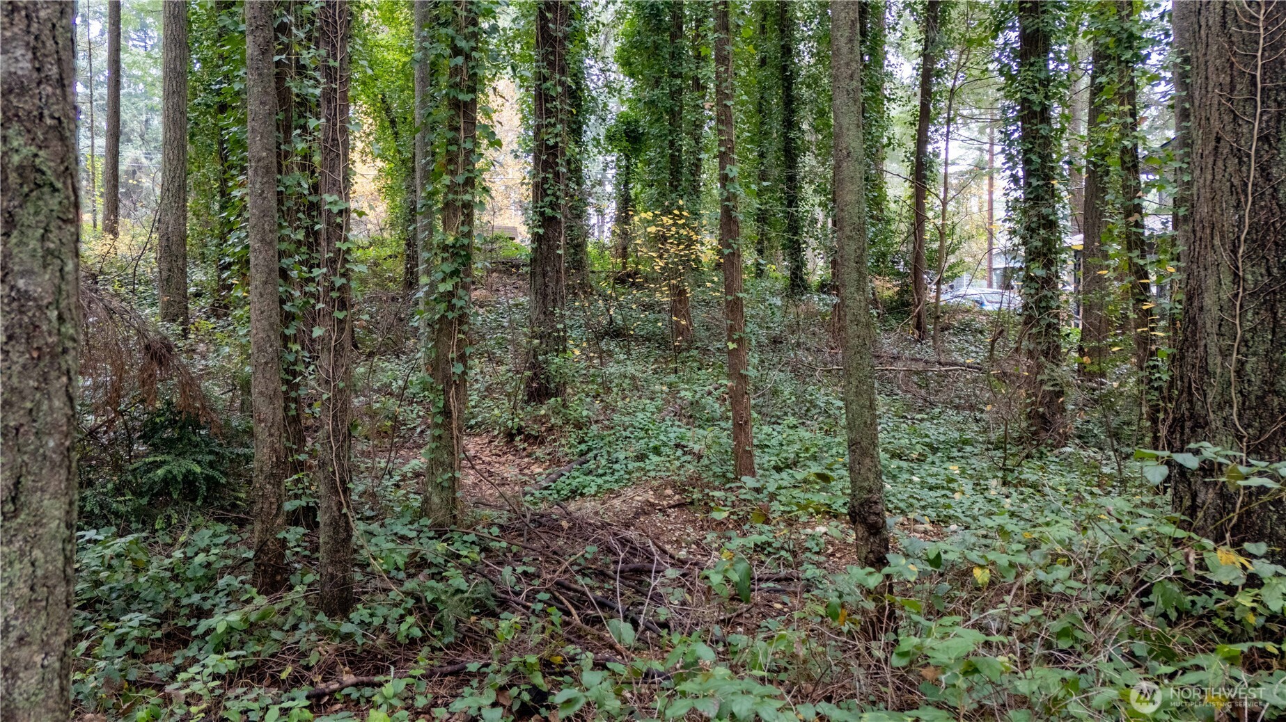 6943 20th Avenue E Lacey WA 98503