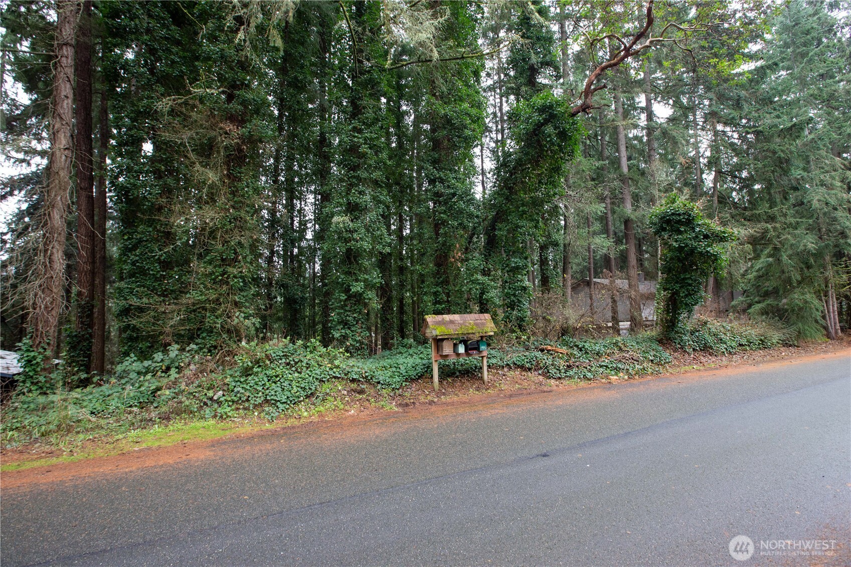 6943 20th Avenue E Lacey WA 98503