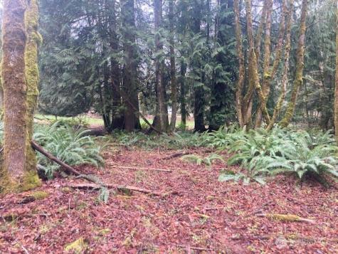 8026 Dawn Hill Drive SE East Olympia WA 98513