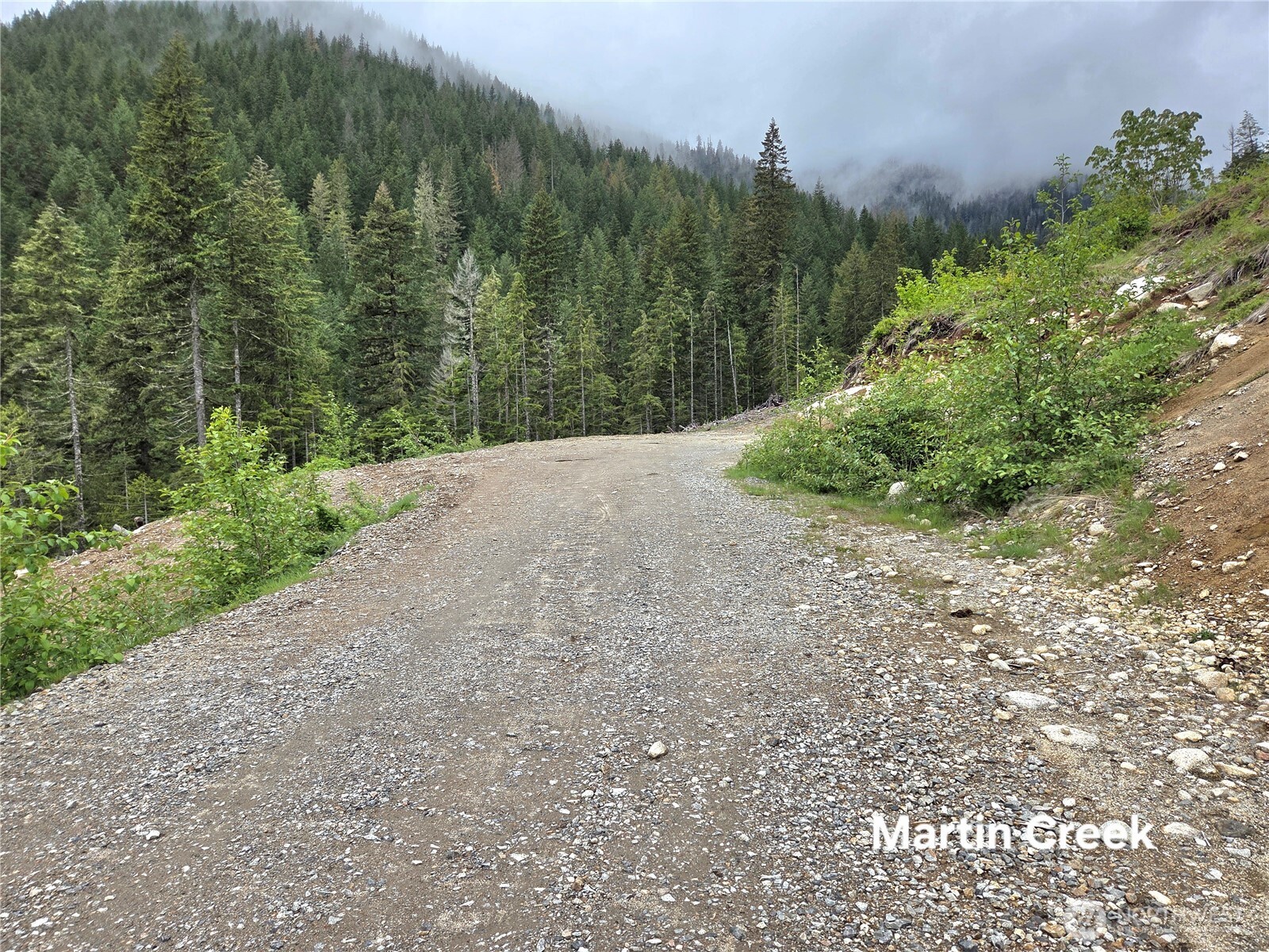6710 6710 Martin Creek Skykomish WA 98288