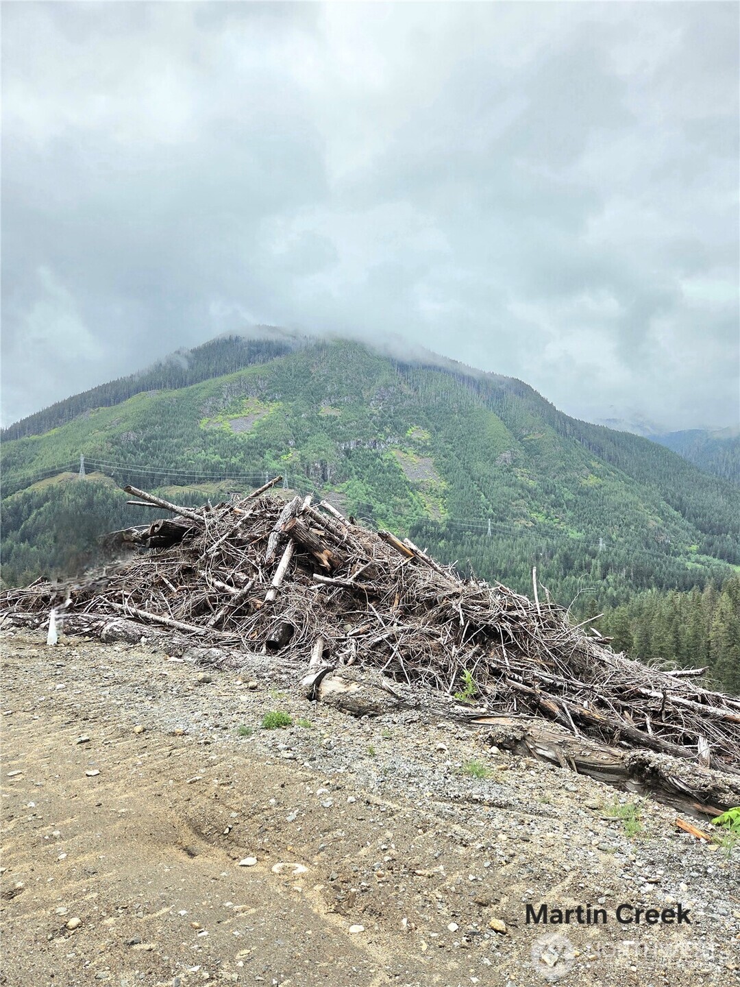 6710 6710 Martin Creek Skykomish WA 98288