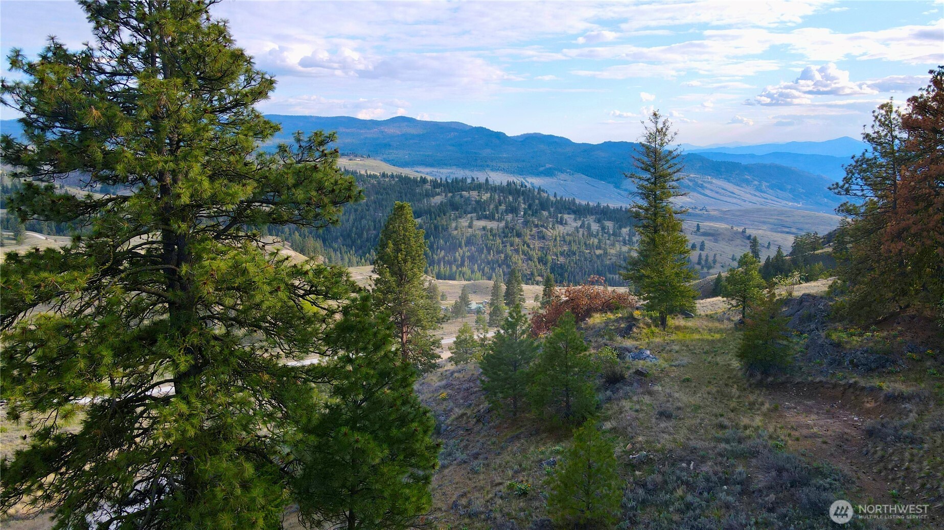 0 Blue Grouse Road Oroville WA 98844